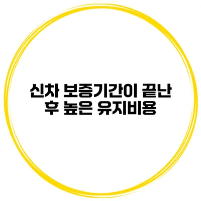 신차 보증기간이 끝난 후 높은 유지비용