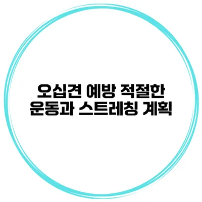 오십견 예방 적절한 운동과 스트레칭 계획