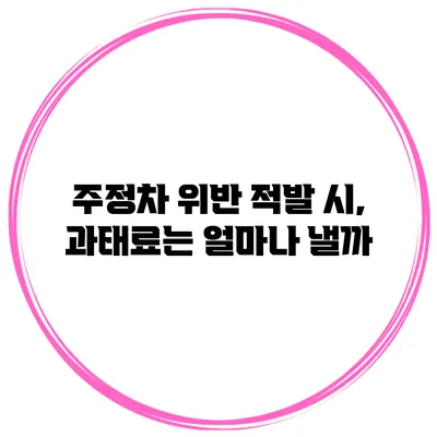 주정차 위반 적발 시, 과태료는 얼마나 낼까?