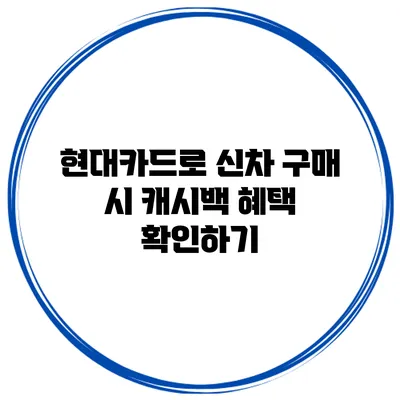 현대카드로 신차 구매 시 캐시백 혜택 확인하기