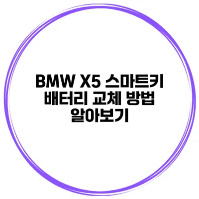 BMW X5 스마트키 배터리 교체 방법 알아보기