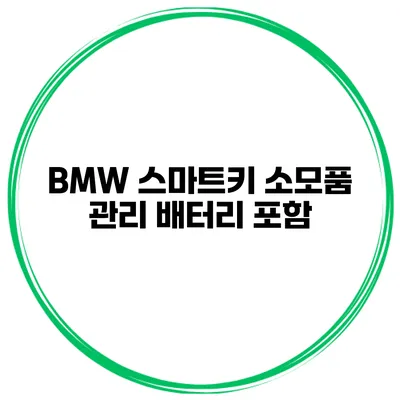 BMW 스마트키 소모품 관리 배터리 포함