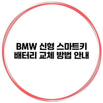 BMW 신형 스마트키 배터리 교체 방법 안내
