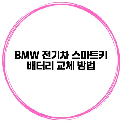 BMW 전기차 스마트키 배터리 교체 방법