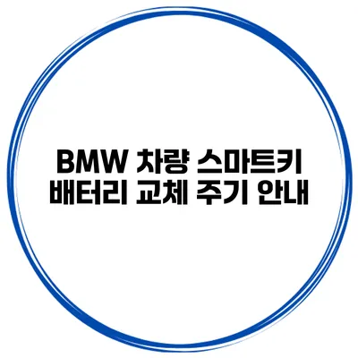 BMW 차량 스마트키 배터리 교체 주기 안내