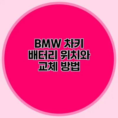 BMW 차키 배터리 위치와 교체 방법