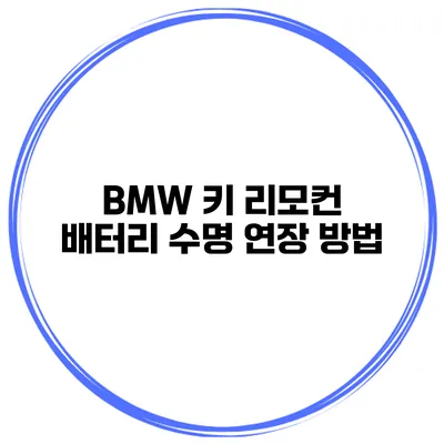 BMW 키 리모컨 배터리 수명 연장 방법