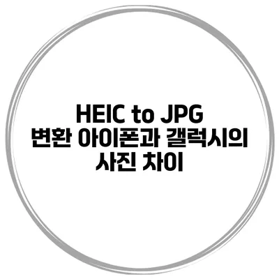HEIC to JPG 변환 아이폰과 갤럭시의 사진 차이