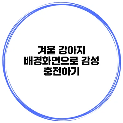 겨울 강아지 배경화면으로 감성 충전하기