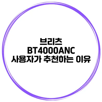 브리츠 BT4000ANC 사용자가 추천하는 이유