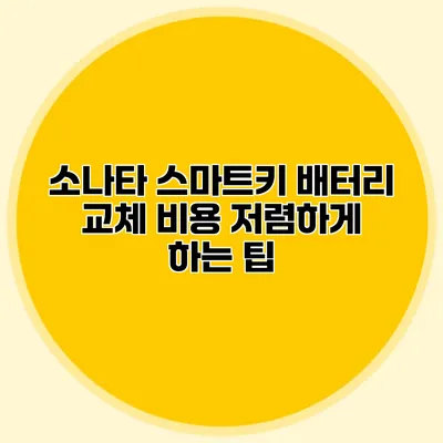 소나타 스마트키 배터리 교체 비용 저렴하게 하는 팁