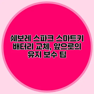 쉐보레 스파크 스마트키 배터리 교체, 앞으로의 유지 보수 팁