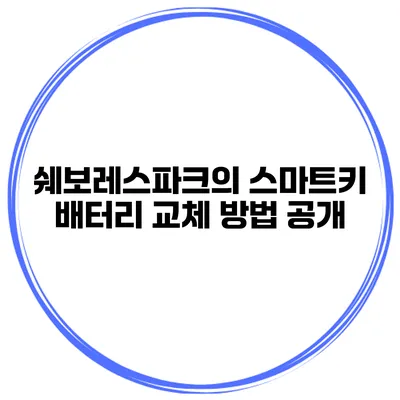 쉐보레스파크의 스마트키 배터리 교체 방법 공개