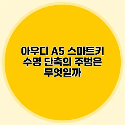 아우디 A5 스마트키 수명 단축의 주범은 무엇일까?